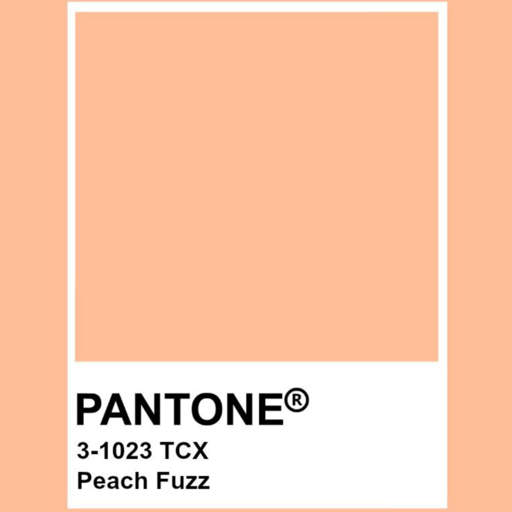Como usar Peach Fuzz, a cor do ano de 2024 eleita pela Pantone, na  maquiagem, Beleza