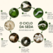 Da natureza ao fio da seda