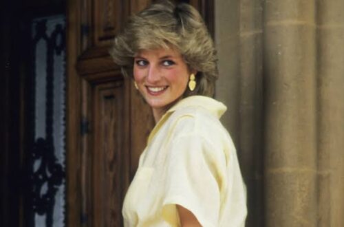 look princesa diana